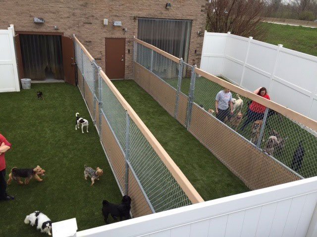 Camp Bow Wow K9Grass Installation in Bedford, Heights Ohio