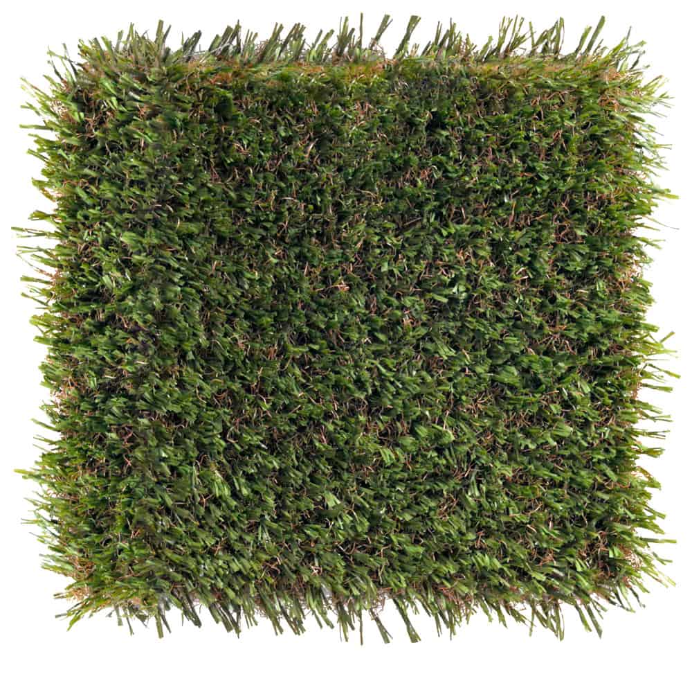 SportsGrass-Edge-XP