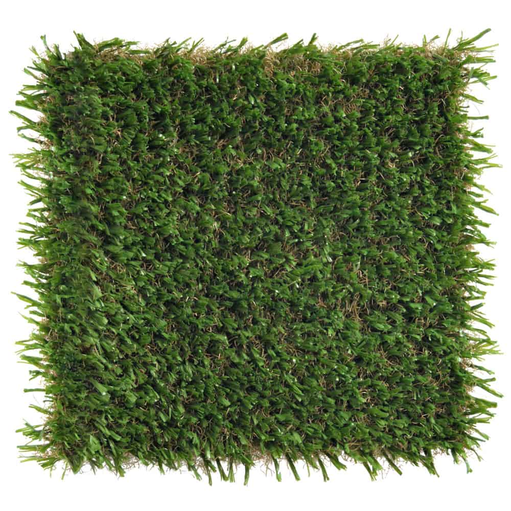 SportsGrass-Edge-XPS