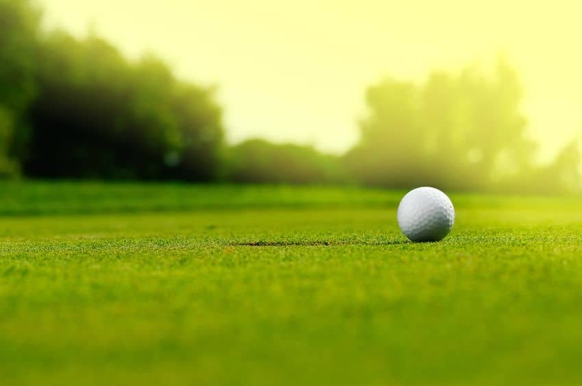 Why Golfers Like Artificial Grass-image