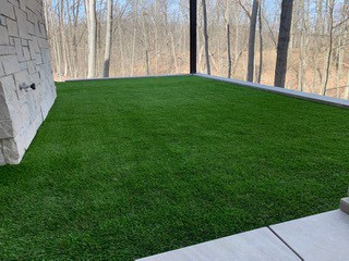 Residential Porch and Doggy Space