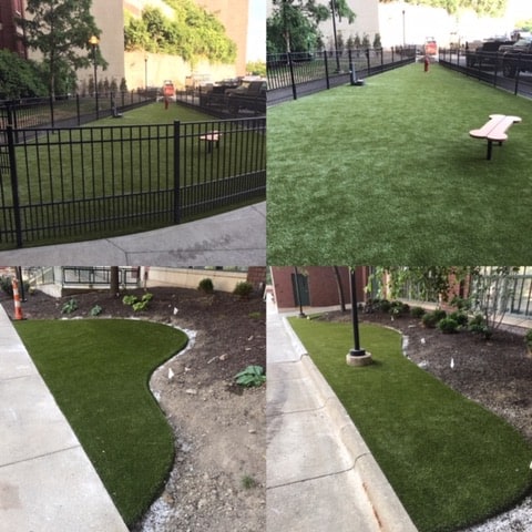 The Archer Apartments Dog Park