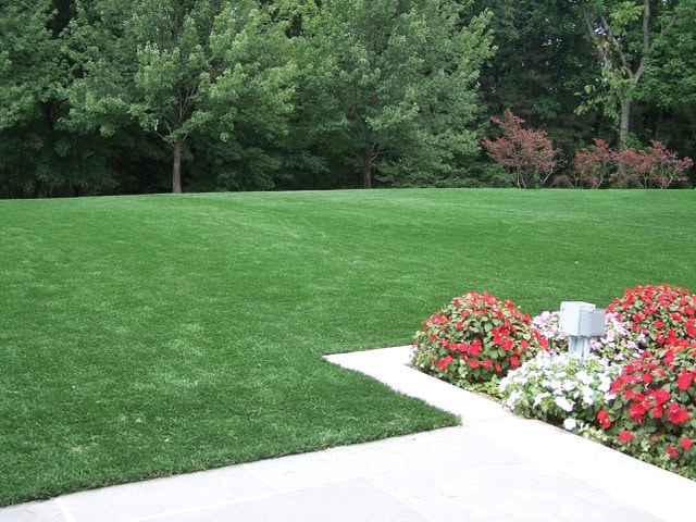 ForeverLawn Landscape